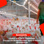 Caixas de frango brasileiro para exportação após liberação da importação pela China