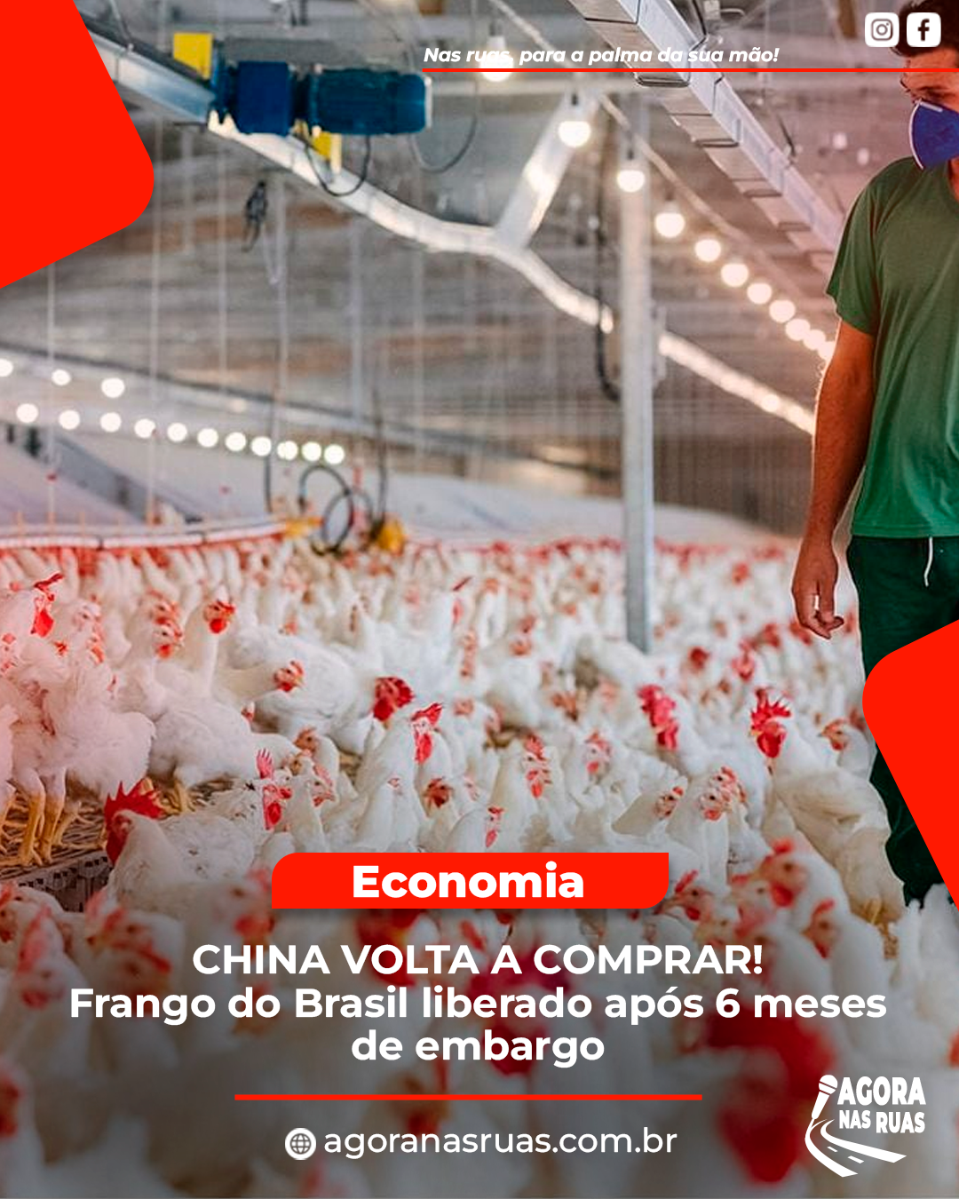 Caixas de frango brasileiro para exportação após liberação da importação pela China