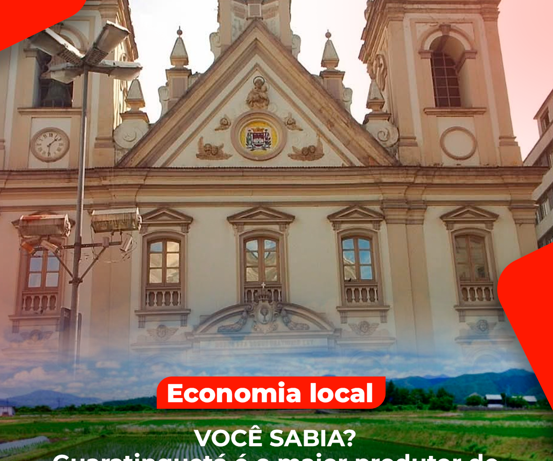 Colheita em Guaratinguetá, maior produtor de arroz de SP